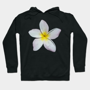 Plumeria Blossom Hoodie